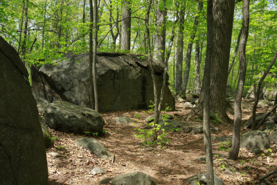 _MG_8466.jpg
