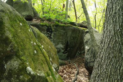 _MG_8467.jpg