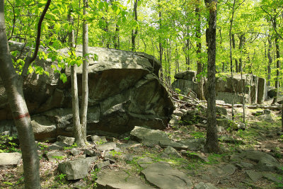 _MG_8468.jpg