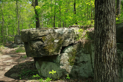 _MG_8470.jpg
