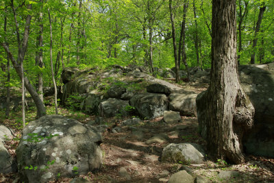 _MG_8472.jpg