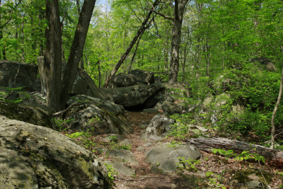 _MG_8473.jpg