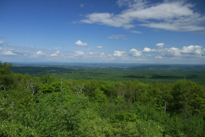 _MG_9305.jpg