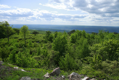 Top of NJ