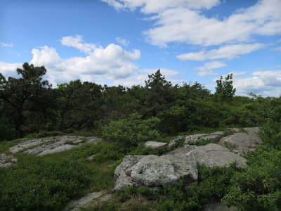 High Point