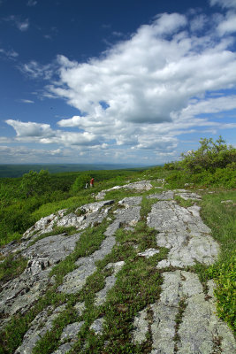 High Point