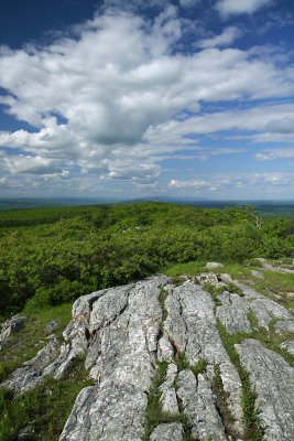 High Point