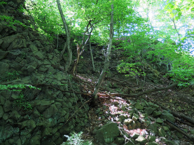 IMG_1220.jpg