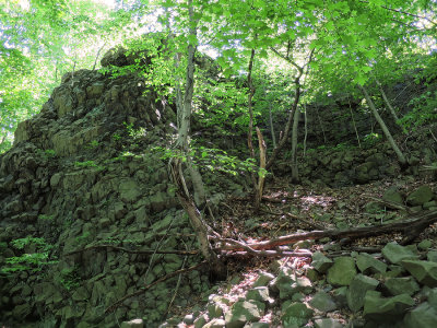 IMG_1221.jpg