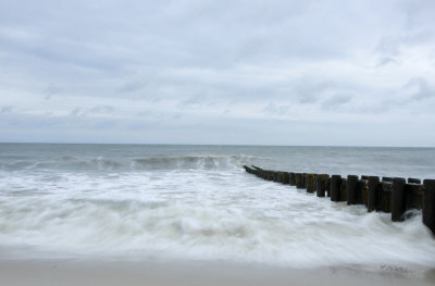 _MG_0501.jpg