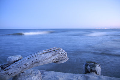 _MG_0730.jpg