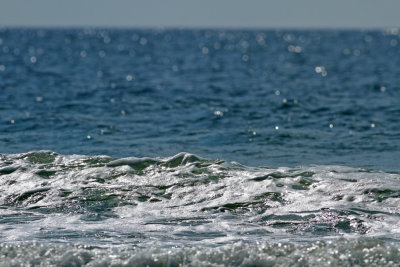 _MG_2520.jpg