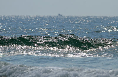 _MG_2523.jpg