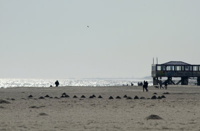 Gulls and alien deposits