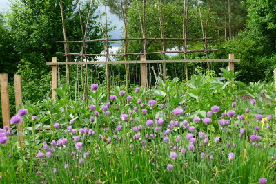 chives.jpg
