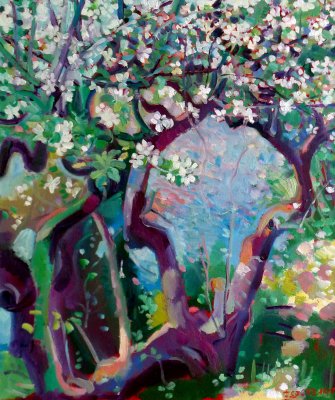Apple Blossom