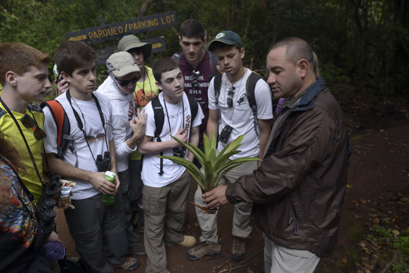 Coudforest ecology