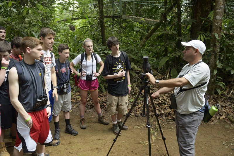In the Old Growth rainforest