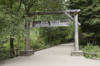 Muir Woods according to the sign