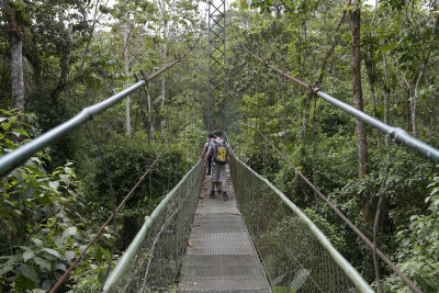 Bridge over the Rio Sarapiqui