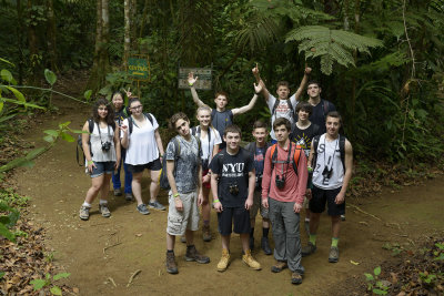 In da Rainforest