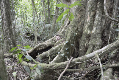 Emerging from his den