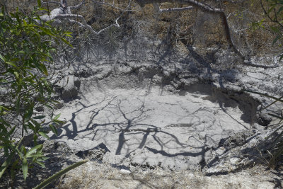 Volcanic mudpot
