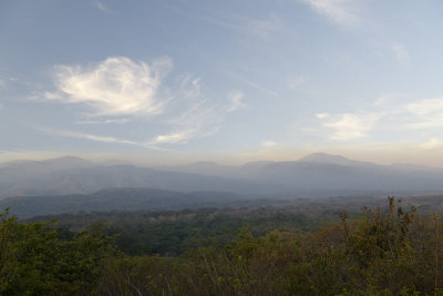 Buena vista