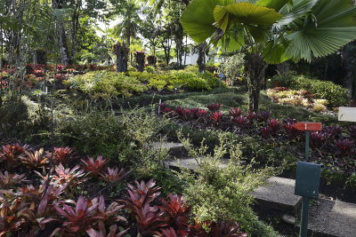Wilson Botanical Gardens