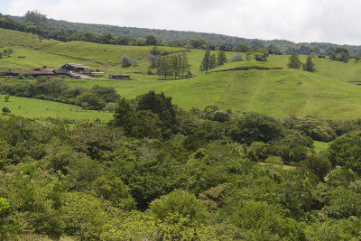 Farmland