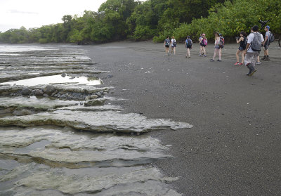 Corcovado beach