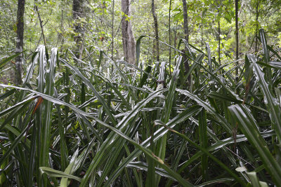 _DSC9878.jpg