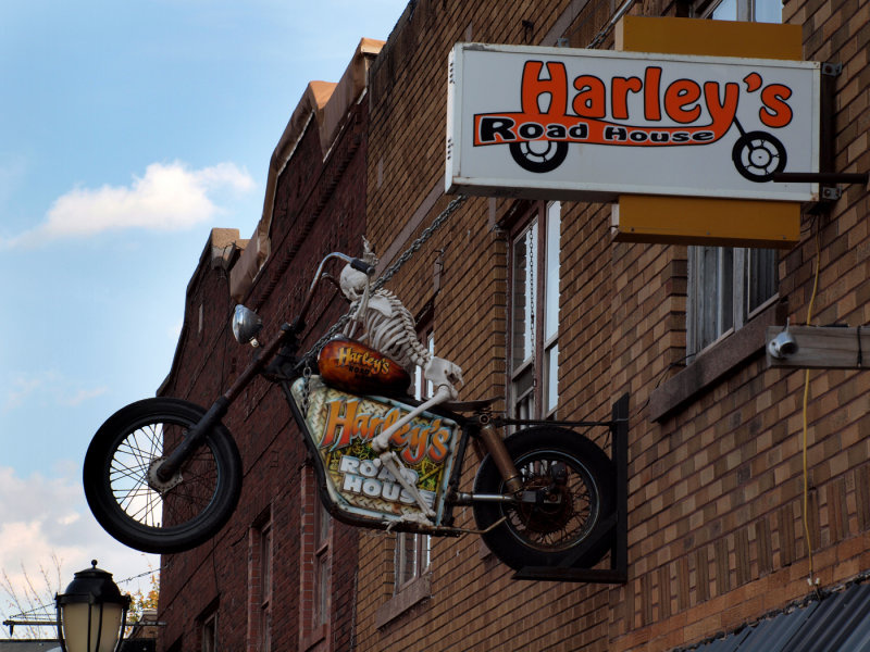 This Might Be Another Early Halloween Decoration Riding The Bike...