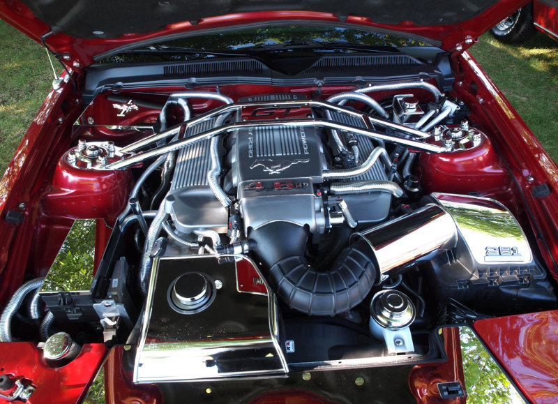 A Clean Mustang Engine Compartment...