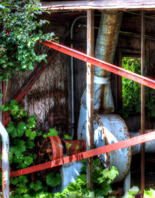 Abandoned Grain Elevator