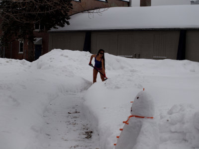 Eve Really Did The Shoveling...This Is Her Shortcut To The Bus Stop...