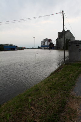 Hafen Albern