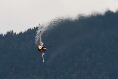 F-16 DEMO TEAM