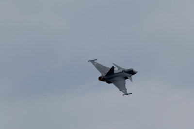 SAAB JAS 39 GRIPEN AIRPOWER 2013