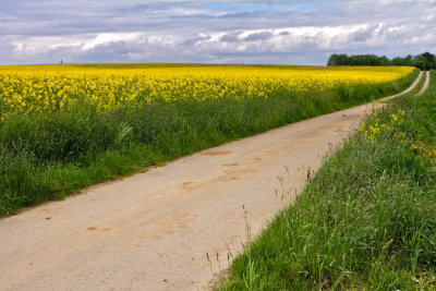 Waldviertel