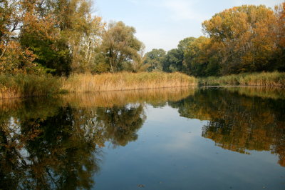 Lobau