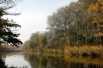 Lobau