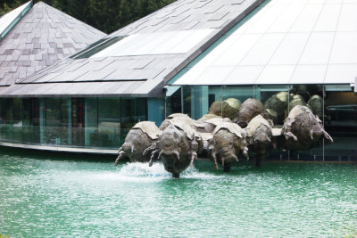 Fuschl am See