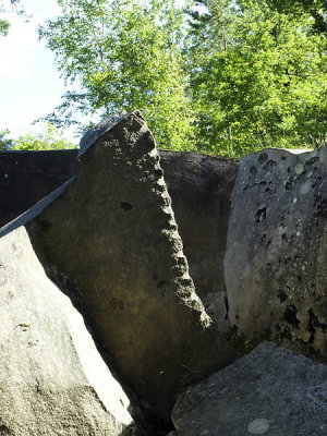 Dbut d'extraction_9026r.jpg