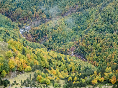 Automne naissant en valle d'Ordesa-2025l.jpg