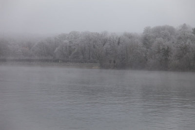 Seine hivernale-1458l.jpg