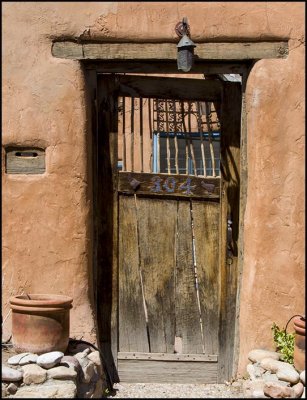 Door with bars