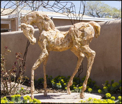 Bronze colt
