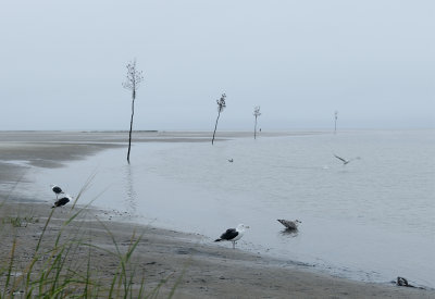 Rock Harbor, Orleans MA    (Cape Cod)