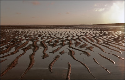 Low Tide on the Atlantic (Cape Cod)